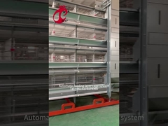 레이어 가금류 사육장 장비 4 층 닭 새장 2.40m* 2.60m* 2.0m 로제 와인