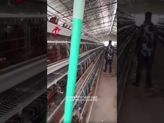 가금류 닭 농장 Doris를 위한 A 또는 H 유형 3 또는 4단 닭 배터리 케이지