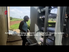 큰 농장 아델라를 위한 종류 산란계 다층식 가금 상자 전자동