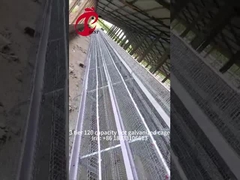 반 자동 조류 층 케이지 15000 새 수동 조류 케이지 나이지리아에 아이리스