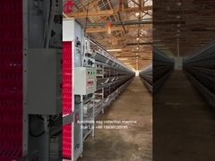 자동 조류 배터리 케이지 시스템 3 레벨 450cm2 스타