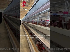 컴퓨터는 자동 닭고기류 새장 장비 스타를 올리는 것 제어했습니다