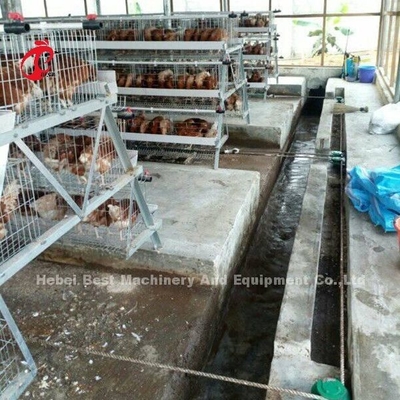 자동차 3상 가금 비료 스크래퍼 기계는 모래인 닭 폐기물을 제거합니다