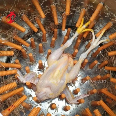 시간 당 자동 닭 깃털 제거 기계 180 조류와 시간 Ada 당 500 조류