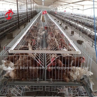 양육 케이지 가금류 농장 Brooder 사육 장비 Sandy