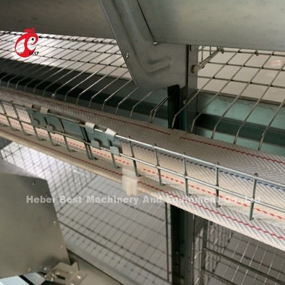 자동 치킨 케이지 장비 H 프레임 4 계층 양육 층 케이지 50,000 농장 도리스 시