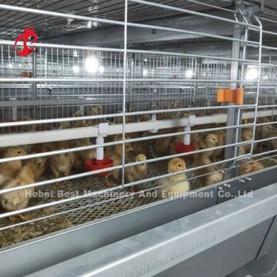 가장 좋은 가연 자동 H형 닭고기 농장 브로일러 케이지 시스템