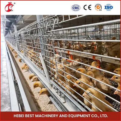 핫 덤프 된  Galvanized Chick Brooder Cage 자동 환기 아이리스