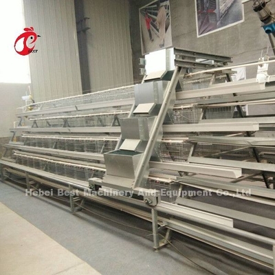세미 오토매틱 가금 레이어 케이지 급이 시스템 1.5KW 380V 도리스