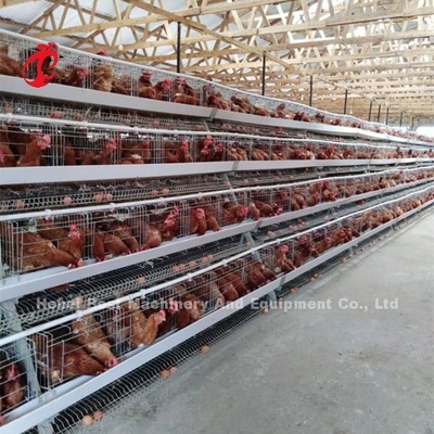 새장 메쉬 Iris와 닭고기류 배터리 케이지 시스템을 놓는 어려움 주택 설계