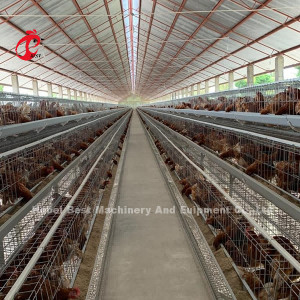 살레 농장 닭 100 KG 미아를 위한 우간다 4 층들  가금류 레이어 새장