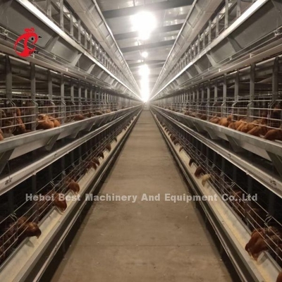 PVC 코팅된 배터리 가금류 사육장 장비 380V 3 kw 에밀리