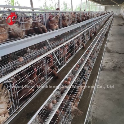 나이지리아 에밀리에서 효율성 레이어 다층식 가금 상자 프라이스